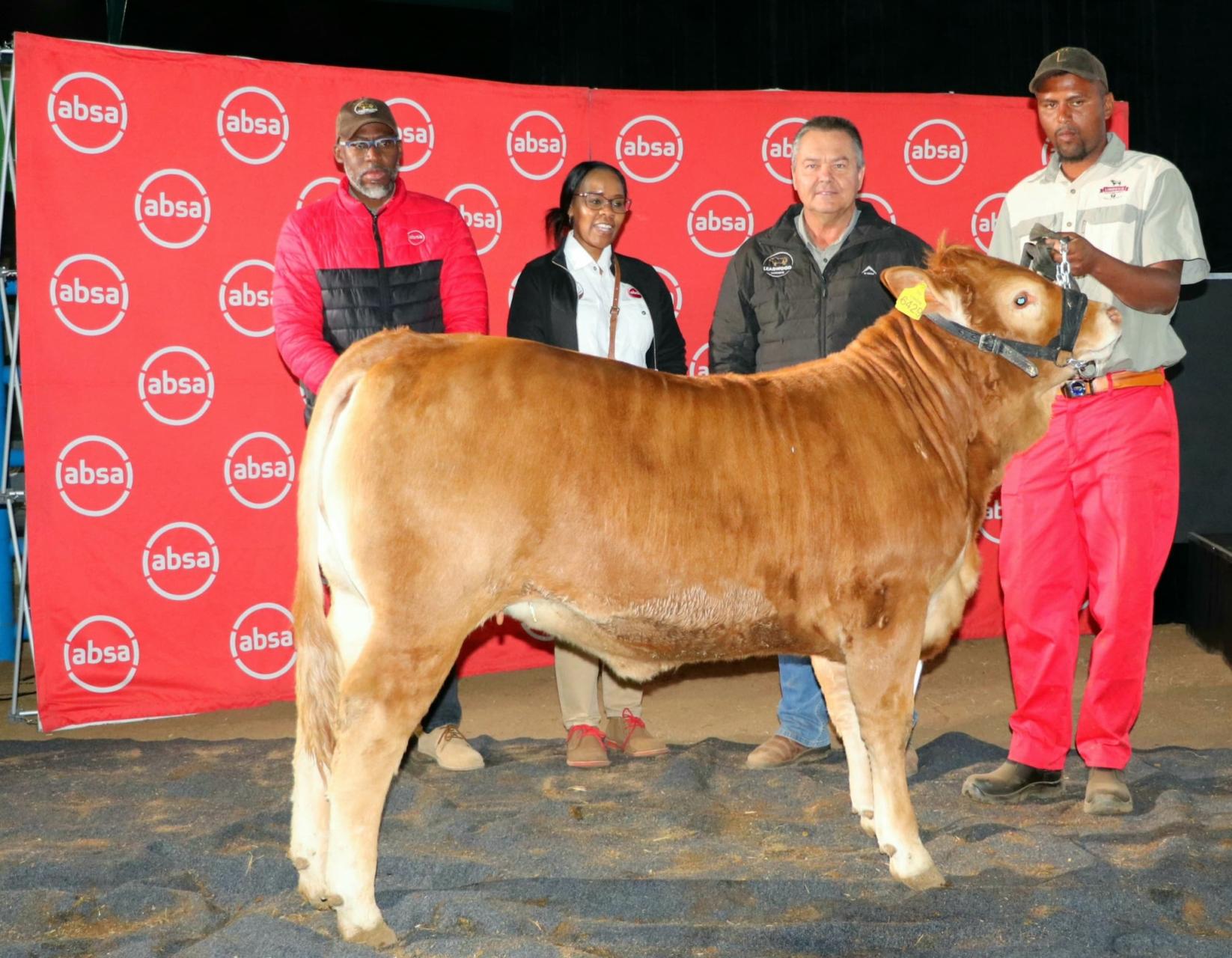 2024 gabs calve class winner